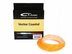 Vector Coastal – Intermediate