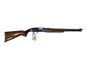 Winchester 270 pump 22LR