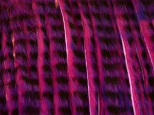 Tiger Zonker Strips – Purple over Pink with Black grizzly markings