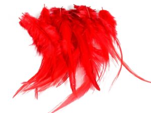 Cock Saddle Hackles – Red