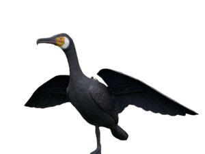 Skarvbulvan med vingar